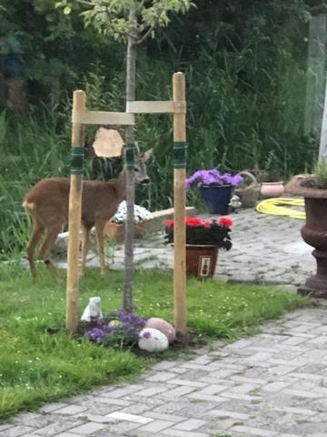 Appartamento Onder De Pannen Stavoren Esterno foto